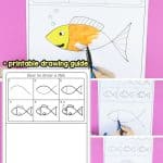 Learn how to draw a fish