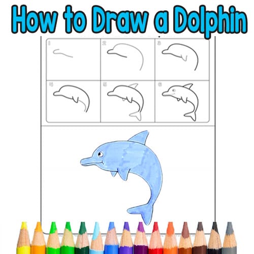 Learn to draw a dolphin