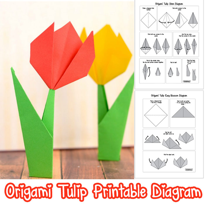 Origami Tulip Printable Diagram