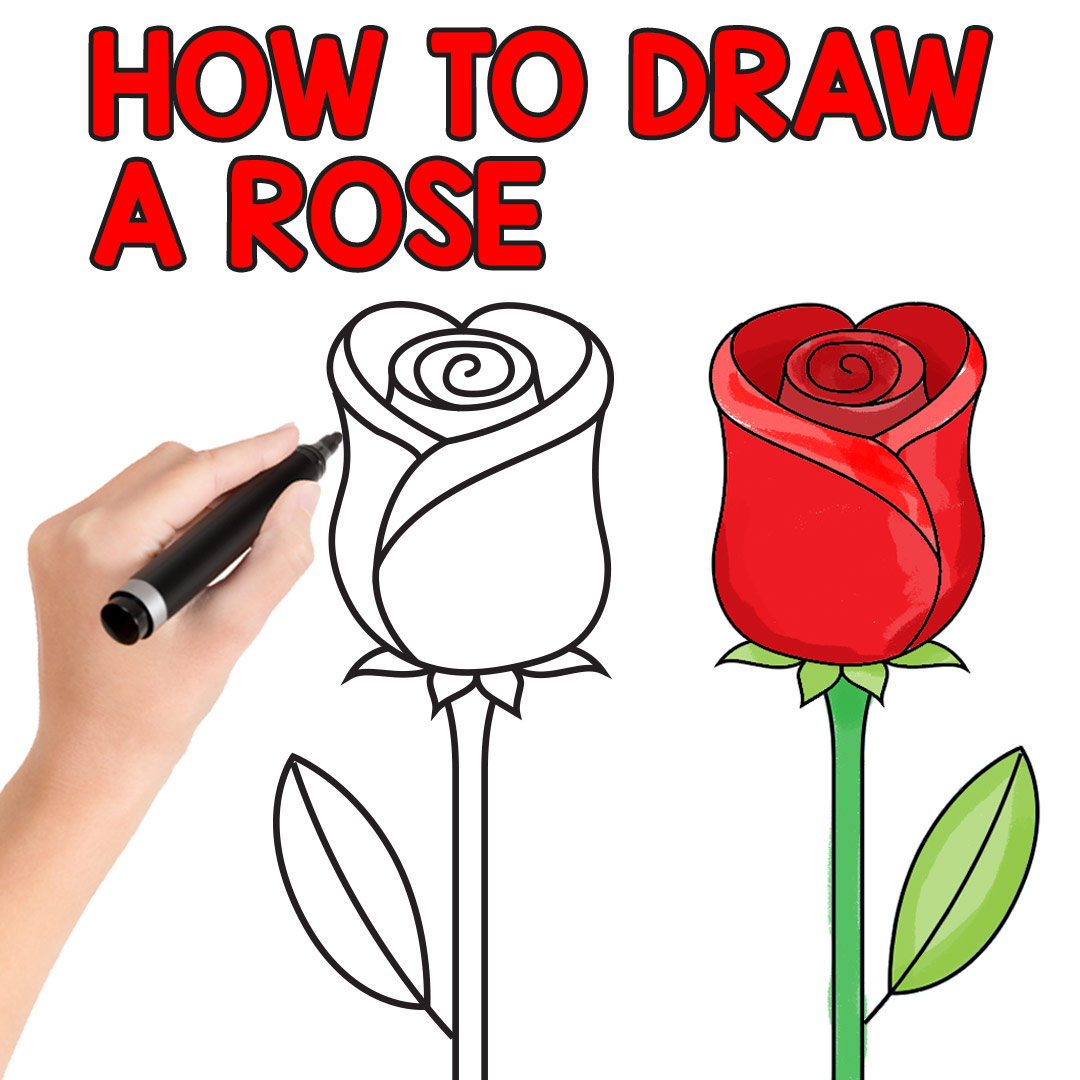 Rose Directed Drawing