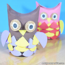 Funky Toilet Paper Roll Owls