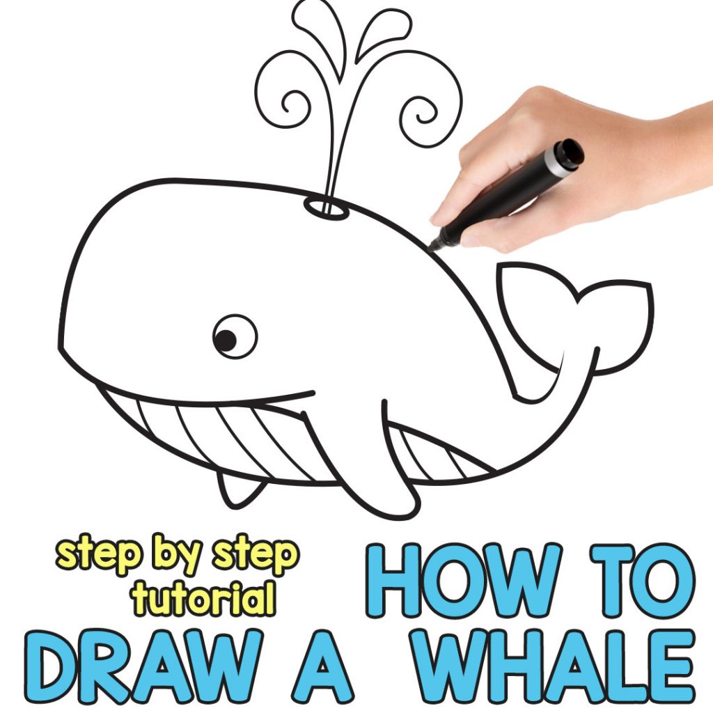 Whale Drawing for Kids - Step by Step Directed Drawing