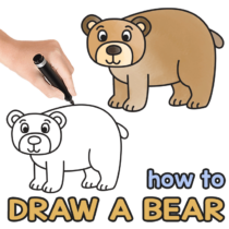 How to Draw a Bear – Step by Step Drawing Tutorial