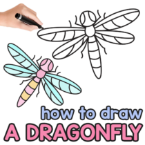 How to Draw a Dragonfly – Step by Step Drawing Tutorial