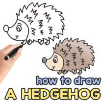 How to Draw a Hedgehog – Step by Step Drawing Tutorial
