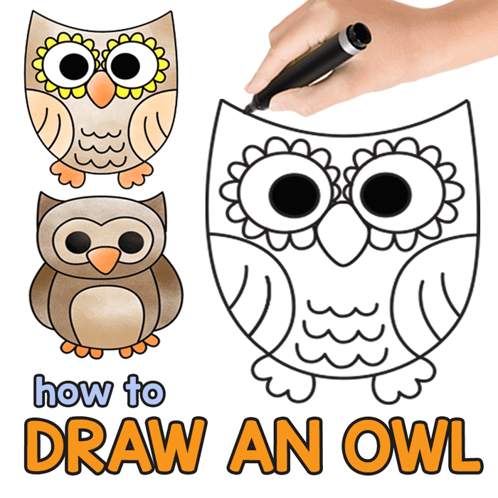 Owl Guided Drawing Instructions
