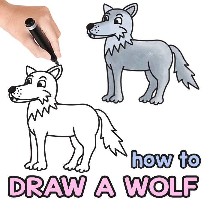 Wolf Directed Drawing Guide